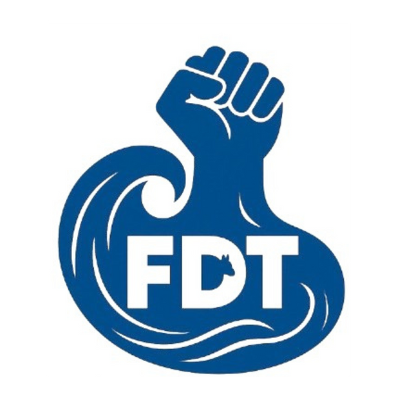 FDT Bracelets-Blue Wave Edition